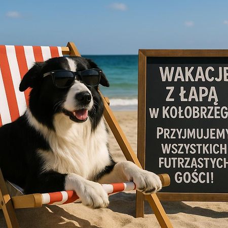 119 W 5 Gwiazdkowym Royal Tulip Sand 200 M Plaza Dobruk Apartamenty Колобжег Екстериор снимка